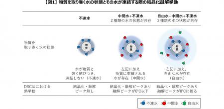 肌の水分状態を評価する新手法を開発 <第35回 utf-8 肌の水分状態を評価する新手法を開発 <第35回 utf-8