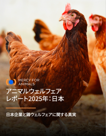 ケージフリーレポート、日本の食品業界に改善の余地を ケージフリーレポート、日本の食品業界に改善の余地を