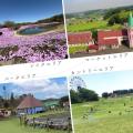 Tロケ初 テーマパーク「東京ドイツ村」がロケ地登録 Tロケ初 テーマパーク「東京ドイツ村」がロケ地登録