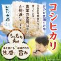 【ふるなび×愛知県西尾市ふるさと納税】第2弾コラボSN 【ふるなび×愛知県西尾市ふるさと納税】第2弾コラボSN