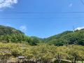 9月28日、国内有数、知る人ぞ知る観察地「清水森林公 9月28日、国内有数、知る人ぞ知る観察地「清水森林公