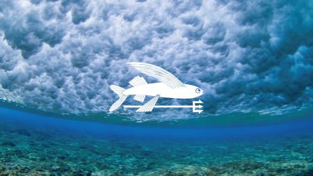 パタゴニア、次の50年に向けた一歩 - サーフストア3店 パタゴニア、次の50年に向けた一歩 - サーフストア3店