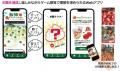 長野県 飯綱町 ゲーム感覚で町との関わりを深めるサー 長野県 飯綱町 ゲーム感覚で町との関わりを深めるサー