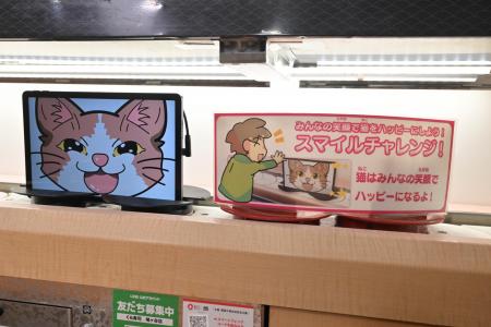 みんなの笑顔で回転レーンを回る猫ちゃんを笑顔utf-8 みんなの笑顔で回転レーンを回る猫ちゃんを笑顔utf-8