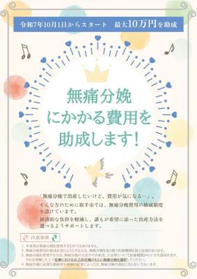 茨城県取手市が「無痛分娩費用助成制度」を2025年10月 茨城県取手市が「無痛分娩費用助成制度」を2025年10月