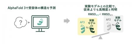 苦味受容体の構造をAIで高精度予測 AlphaFold 3utf-8 苦味受容体の構造をAIで高精度予測 AlphaFold 3utf-8