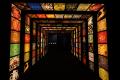 明日開幕!「正倉院 THE SHOW-感じる。いま、ここにあ 明日開幕!「正倉院 THE SHOW-感じる。いま、ここにあ
