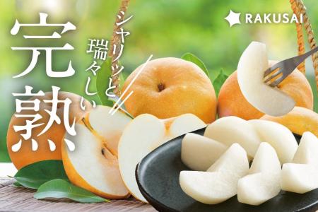 強い甘み!「信州育ちの南水梨」販売開始 ~売り切れ 強い甘み!「信州育ちの南水梨」販売開始 ~売り切れ