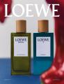 LOEWE Perfumes(ロエベ パルファム)が神戸に新店舗 LOEWE Perfumes(ロエベ パルファム)が神戸に新店舗