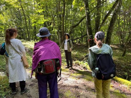 岐阜県高山市の森林浴で自律神経を整えるイベンutf-8 岐阜県高山市の森林浴で自律神経を整えるイベンutf-8