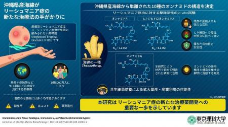 沖縄県の海綿から強力な抗リーシュマニア活性化合物の 沖縄県の海綿から強力な抗リーシュマニア活性化合物の