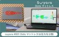 Makuake先行販売で総額2,000万円突破!快適な寝心地と Makuake先行販売で総額2,000万円突破!快適な寝心地と