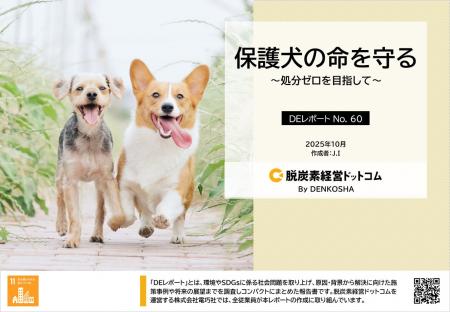 保護犬の命をつなぐ社会へ。犬と人の未来に向けた実態 保護犬の命をつなぐ社会へ。犬と人の未来に向けた実態