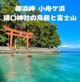 西伊豆戸田の地域活性化・地域創生・観光促進・ペット 西伊豆戸田の地域活性化・地域創生・観光促進・ペット