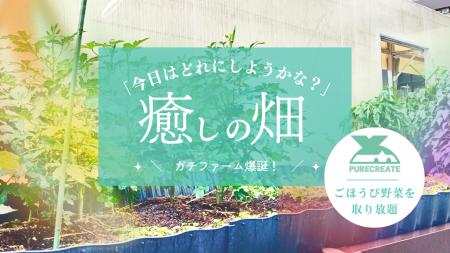 【畑、爆誕!?】EC通販会社のオフィス敷地に“ガチす 【畑、爆誕!?】EC通販会社のオフィス敷地に“ガチす