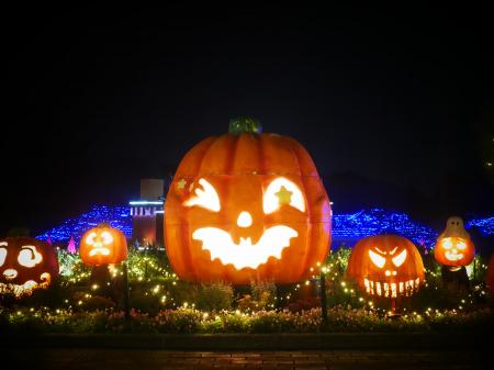 「森のハロウィンナイト」開催します(国営武蔵丘陵森 「森のハロウィンナイト」開催します(国営武蔵丘陵森