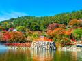 【勝尾寺】大阪・関西万博の会期中、全世界“201ヶ国・ 【勝尾寺】大阪・関西万博の会期中、全世界“201ヶ国・
