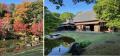【今年の秋は多摩中央公園に集まれ】多摩センター一帯 【今年の秋は多摩中央公園に集まれ】多摩センター一帯