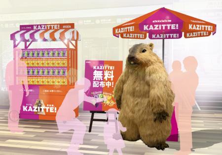 「カジる!マーモット」が都内某所に10月14日(火)か 「カジる!マーモット」が都内某所に10月14日(火)か