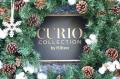 軽井沢の冬を映す「 KIKYOクリスマスケーキ (限定 10 軽井沢の冬を映す「 KIKYOクリスマスケーキ (限定 10