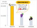 夜の 夜の