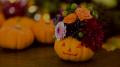【EBISU FLOWER PARK札幌店】10月限定「ハロウィンカ 【EBISU FLOWER PARK札幌店】10月限定「ハロウィンカ