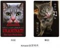 「日刊ニャンダイ」2026年版カレンダーラインナップが 「日刊ニャンダイ」2026年版カレンダーラインナップが