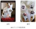 「日刊ニャンダイ」2026年版カレンダーラインナップが 「日刊ニャンダイ」2026年版カレンダーラインナップが