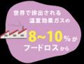 40以上の企業・NPO・生協・国際機関が、マルチセクタ 40以上の企業・NPO・生協・国際機関が、マルチセクタ