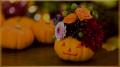 EBISU FLOWER PARK札幌店 ― 10月限定「ハロウィンアレ EBISU FLOWER PARK札幌店 ― 10月限定「ハロウィンアレ