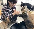 2026年は、365日まるごと “保護ねこ支援” に!猫作家6 2026年は、365日まるごと “保護ねこ支援” に!猫作家6