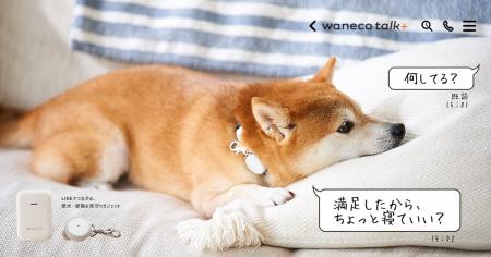 LINEを活用して愛犬・愛猫の見守りができる今までにな LINEを活用して愛犬・愛猫の見守りができる今までにな