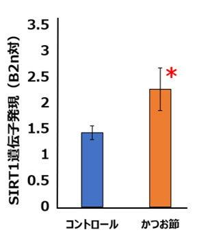 マルトモ 愛媛大学との共同研究結果を学会発表 マルトモ 愛媛大学との共同研究結果を学会発表