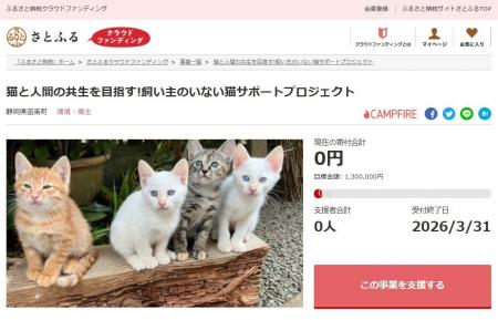 静岡県函南町とさとふる、飼い主のいない猫の繁殖抑制 静岡県函南町とさとふる、飼い主のいない猫の繁殖抑制