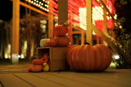 紅葉シーズンの軽井沢で楽しむハロウィンイベント開催 紅葉シーズンの軽井沢で楽しむハロウィンイベント開催