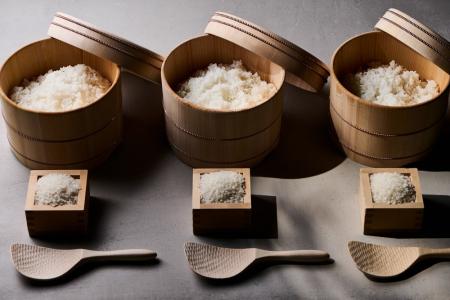 清流の恵みを味わう『新米×食×体験』コンテンツ開催 清流の恵みを味わう『新米×食×体験』コンテンツ開催