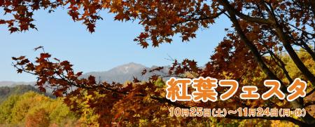 見て作って遊ぶ秋「紅葉フェスタ」開催|国営アルプス 見て作って遊ぶ秋「紅葉フェスタ」開催|国営アルプス