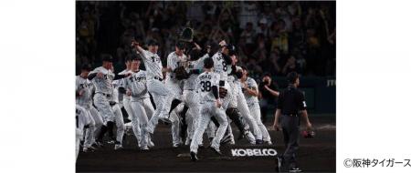 2026・2027シーズンの阪神甲子園球場マウンド広告につ 2026・2027シーズンの阪神甲子園球場マウンド広告につ