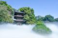【ホテル椿山荘東京】日本庭園文化の再生と継承への挑 【ホテル椿山荘東京】日本庭園文化の再生と継承への挑
