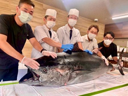 活魚の解体ショーなど五感で楽しむをテーマにした株式 活魚の解体ショーなど五感で楽しむをテーマにした株式