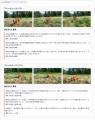 フェイクを見破るKeiganAIに新たな判定の目。最新の生 フェイクを見破るKeiganAIに新たな判定の目。最新の生