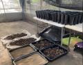 Green Carbon株式会社、マヒドン大学およびタイ王国天 Green Carbon株式会社、マヒドン大学およびタイ王国天