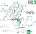 国内トップクラスの胡蝶蘭農家が挑む、サステナブルな 国内トップクラスの胡蝶蘭農家が挑む、サステナブルな