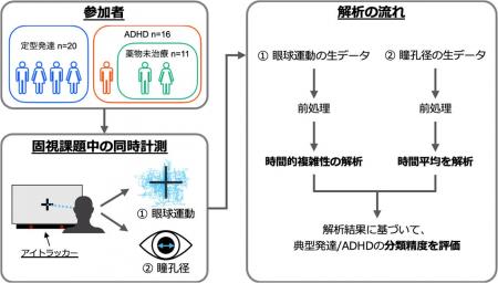 眼球運動と瞳孔径による成人ADHDの客観的・定量的評価 眼球運動と瞳孔径による成人ADHDの客観的・定量的評価