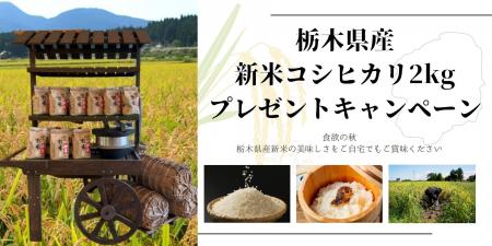 先着1,000組限定!平日ご宿泊のお客様へ那須の新米プ 先着1,000組限定!平日ご宿泊のお客様へ那須の新米プ