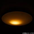 シーンに合った明るさ・光の色をワンタッチで操utf-8 シーンに合った明るさ・光の色をワンタッチで操utf-8