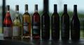 虎ノ門ヒルズで「TORANOMON HILLS WINE FES」開催。 虎ノ門ヒルズで「TORANOMON HILLS WINE FES」開催。