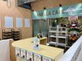 【商業施設内初出店・2店舗同時オープン】福祉型保護 【商業施設内初出店・2店舗同時オープン】福祉型保護