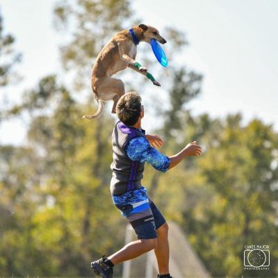 《入場無料》愛犬と1日中楽しもう!「第2回 Happy! 《入場無料》愛犬と1日中楽しもう!「第2回 Happy!
