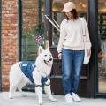 『ペットパラダイス』2025年秋冬から中大型犬向け商品 『ペットパラダイス』2025年秋冬から中大型犬向け商品